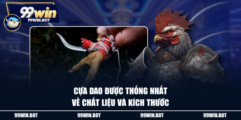 Đá Gà Cựa Dao Và Những Kiến Thức Cơ Bản Dành Cho Tân Thủ 1 Cựa dao được thống nhất về chất liệu và kích thước